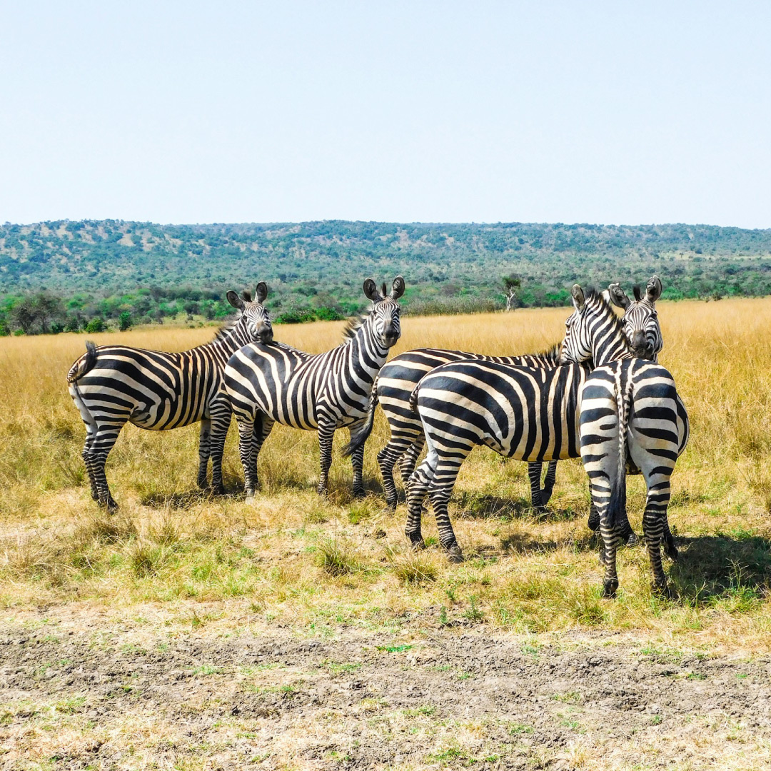 Akagera-National-Park-Rwanda-(1)