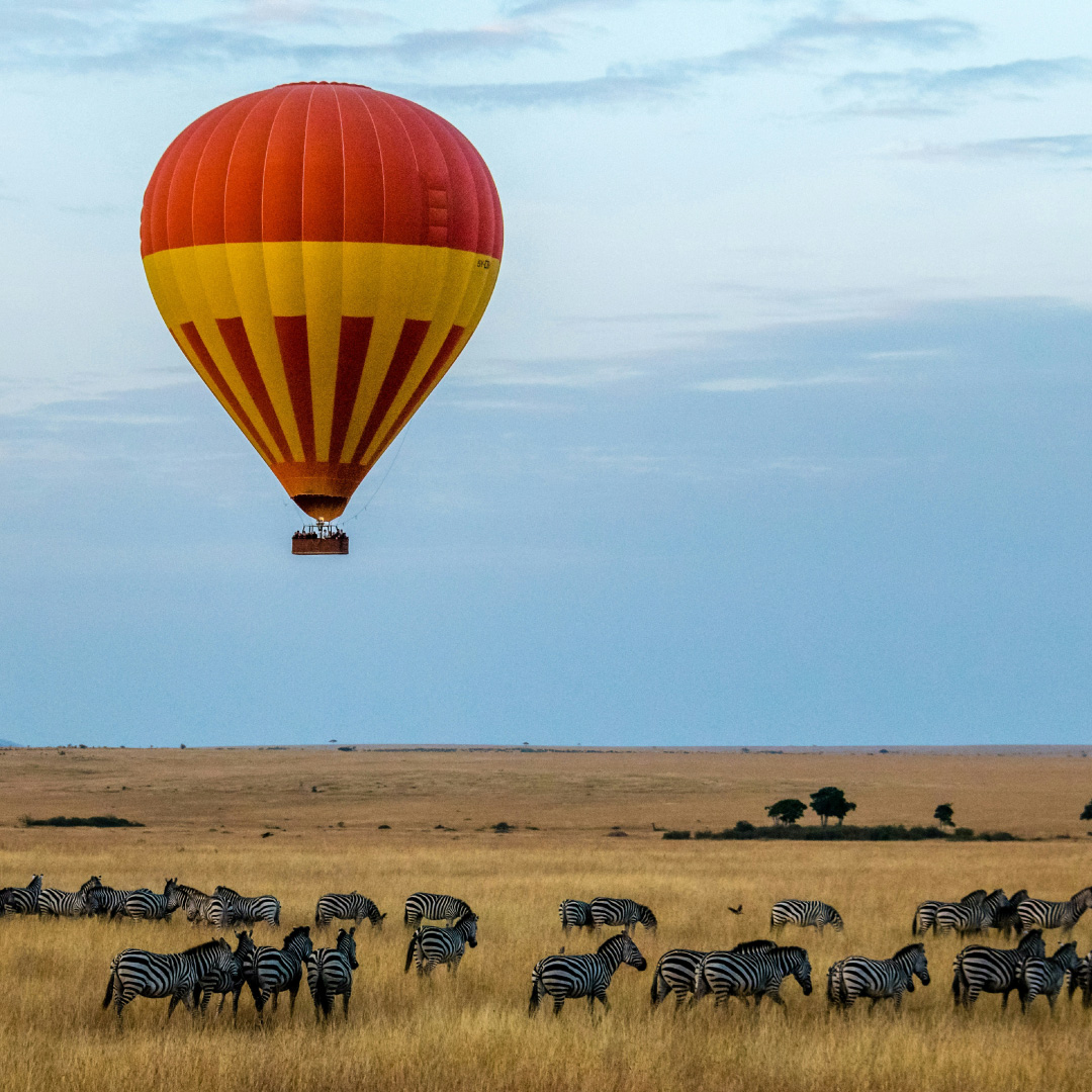 hot-air-balloon-over-a-herd-of-zebras-at-Maasai-Mara-National-Reserve
