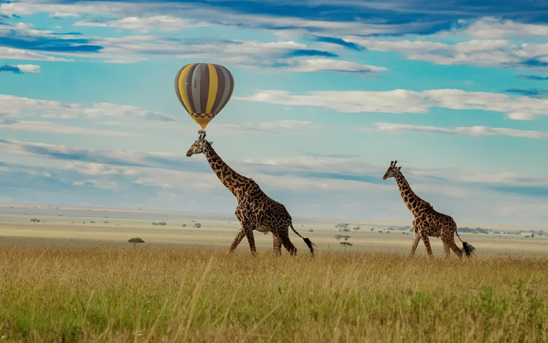 Highlights of Tanzania
