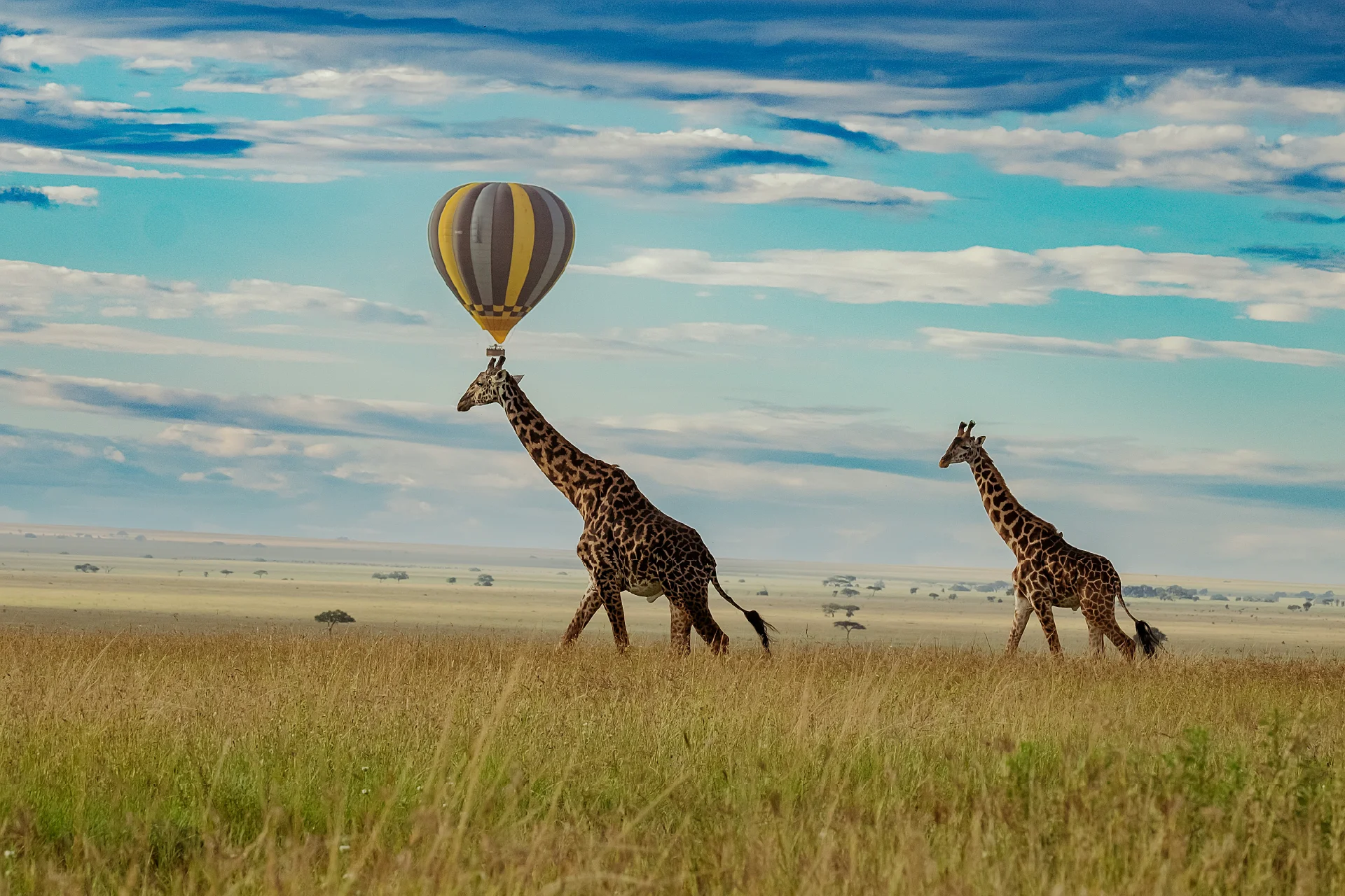 Highlights of Tanzania