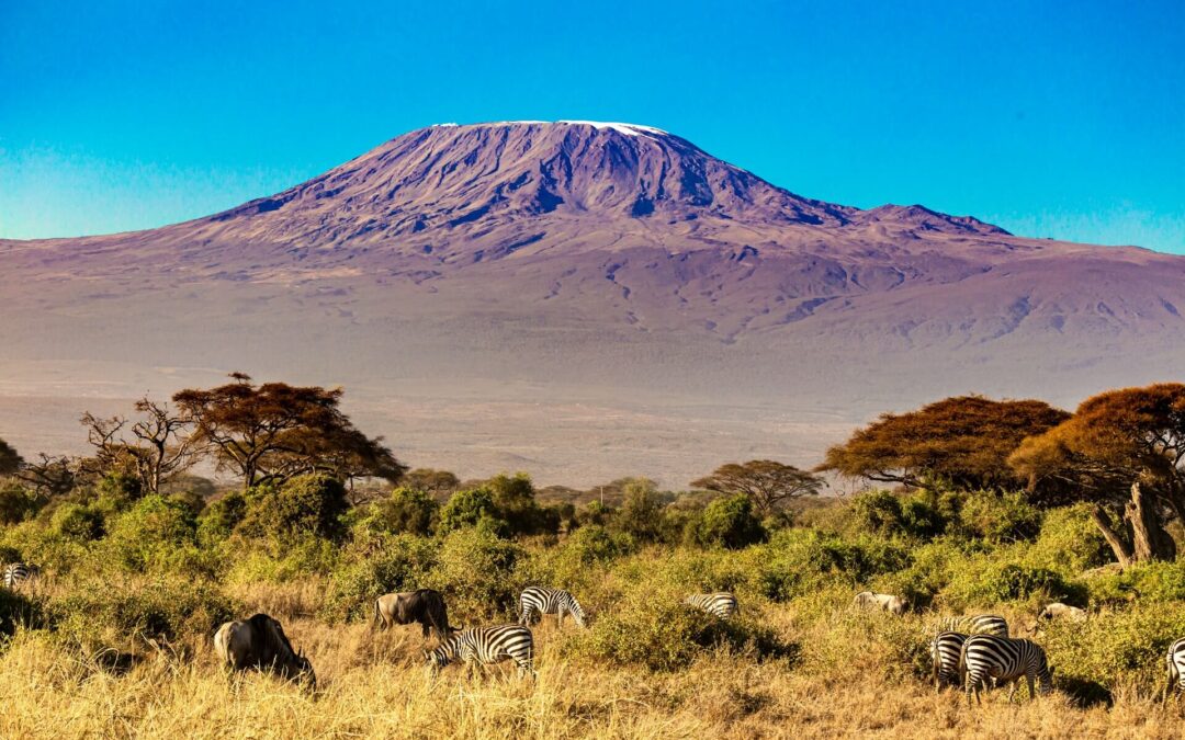 Southern Kenya Safari Circuit