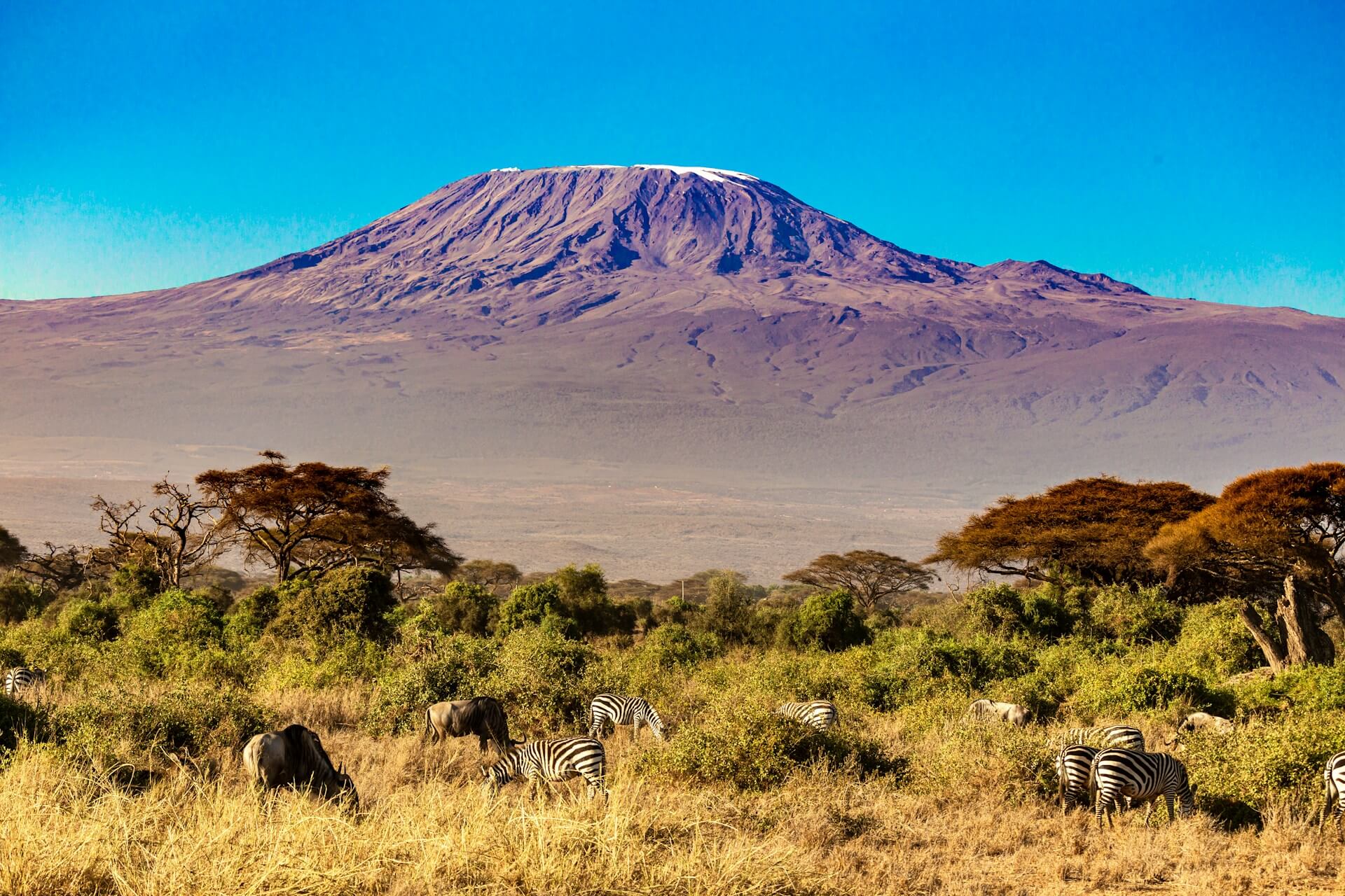 Southern Kenya Safari Circuit